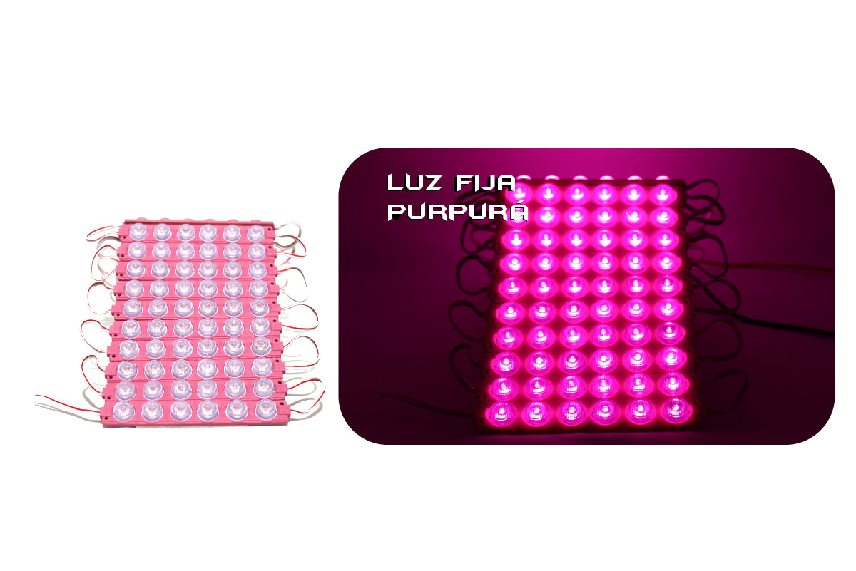 Módulo 6 piezas LED 24 V