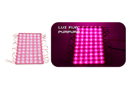 Módulo 6 piezas LED 24 V